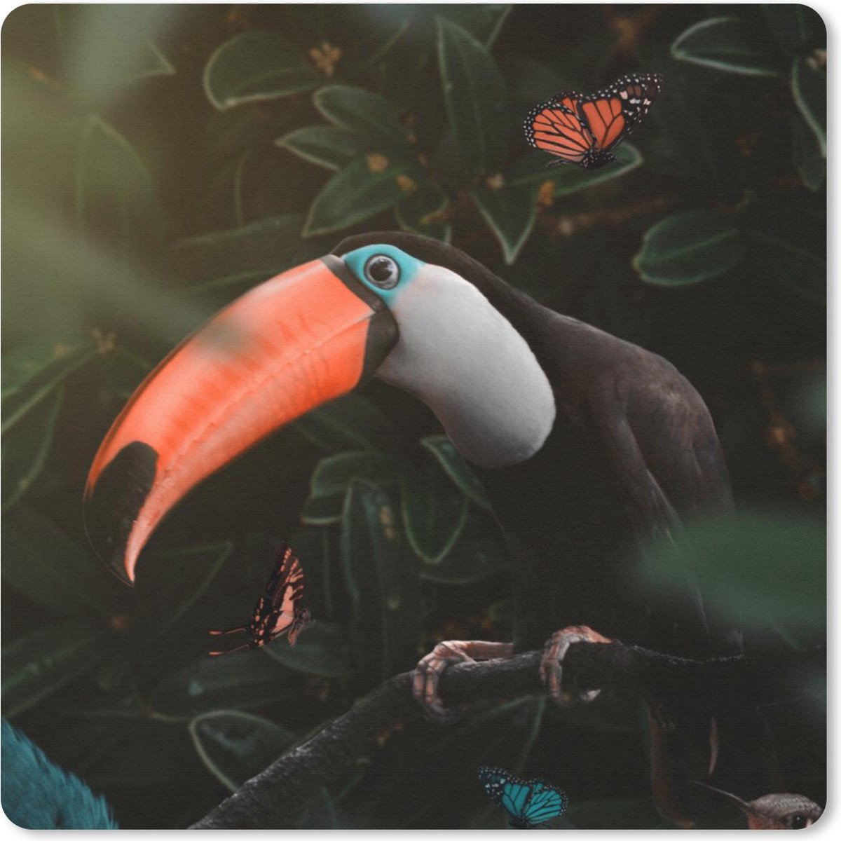Muismat 20x20 cm - Mousepad Toekan - Vlinder - Bladeren - Muismatten