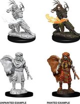 Dungeons and Dragons: Nolzur's Marvelous Miniatures - Male Human Druid