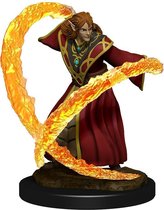 Dungeons and Dragons Miniatures - Nolzur's Marvelous - Elf Male Wizard - Miniatuur - Ongeverfd