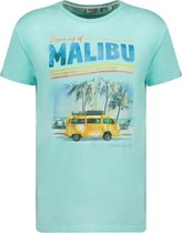 DEELUXE T-shirt met Californië-print MALIBU Mint