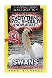 Everything You Should Know About