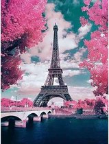 Peinture au Diamond - Tour Eiffel au printemps - Fabriqué aux Nederland - 20 x 30 cm - matériel de toile - pierres carrées + stylo de luxe gratuit d'une valeur de 12,99