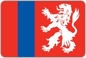 Vlag Heenvliet - 100 x 150 cm - Polyester