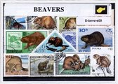 Bevers – Luxe postzegel pakket (A6 formaat) : collectie van verschillende postzegels van bevers – kan als ansichtkaart in een A6  envelop - authentiek cadeau - kado -kaart - dieren