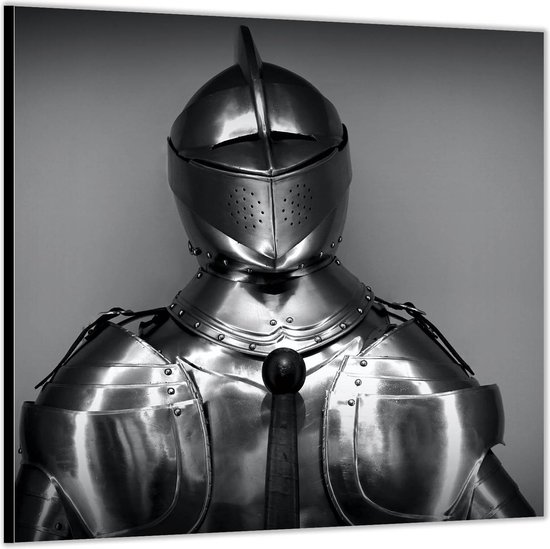 Dibond –Ridder Pak– 100x100 Foto op Aluminium (Wanddecoratie van metaal)