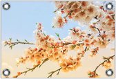 Tuinposter –Witte Bloementakken– 40x30 Foto op Tuinposter (wanddecoratie voor buiten en binnen)