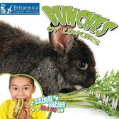 Animal Babies and Me - Bunches of Lunches