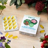 Pireco Vitaal Bladziekten - Biologisch - 24 capsules