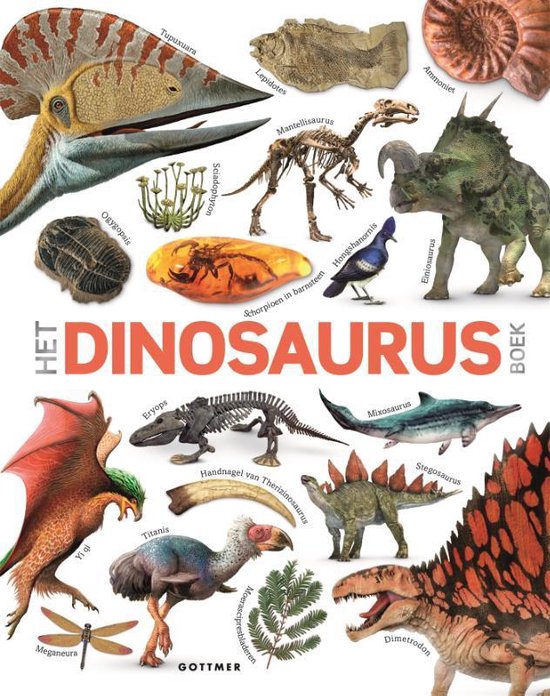 Het dinosaurusboek - John Woodward | Northernlights300.org