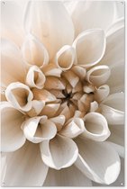 Tuinposter 120x180 cm - Tuindecoratie Bloemen - Wit - Natuur - Poster voor in de tuin - Buiten decoratie - Schutting tuinschilderij - Tuindoek muurdecoratie - Wanddecoratie balkondoek