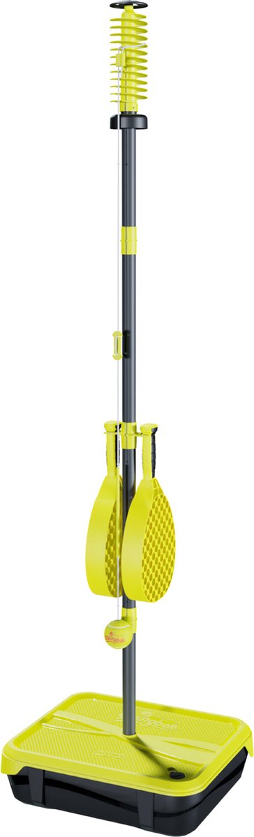 Swingball