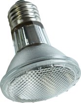 Komodo Halogeen Spot Lamp - ES 50 Watt