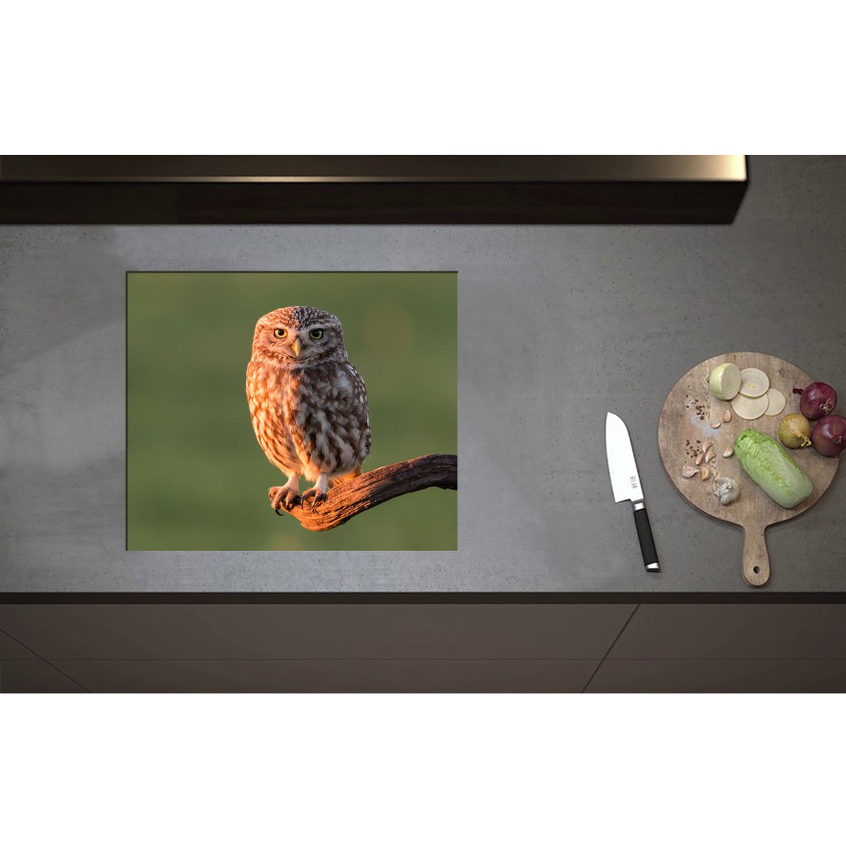 Inductieplaat Beschermer - Bruine Steenuil Zittend op Smalle Tak - 59x50 cm - 2 mm Dik - Inductie Beschermer - Bescherming Inductiekookplaat - Kookplaat Beschermer van Zwart Vinyl
