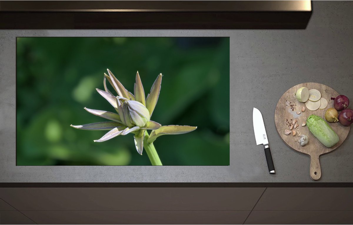 Inductieplaat Beschermer - Close Up van Paars met Groene Hosta Bloem - 90x55 cm - 2 mm Dik - Inductie Beschermer - Bescherming Inductiekookplaat - Kookplaat Beschermer van Zwart Vinyl