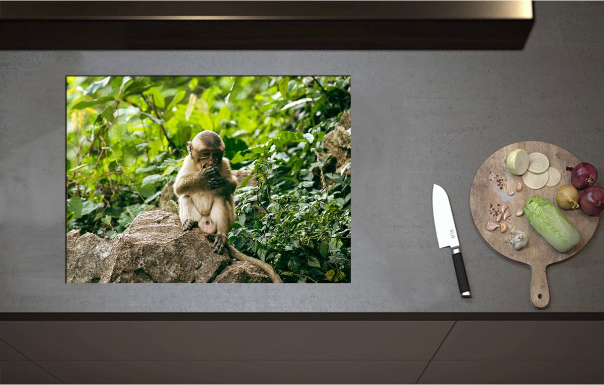Inductieplaat Beschermer - Bruine Makaak Aap op Rots in Groene Omgeving - 71x52 cm - 2 mm Dik - Inductie Beschermer - Bescherming Inductiekookplaat - Kookplaat Beschermer van Zwart Vinyl