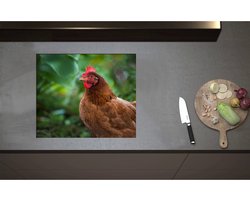 Inductieplaat Beschermer - Bruine Kip in Groene Omgeving - 60x51 cm - 2 mm Dik - Inductie Beschermer - Bescherming Inductiekookplaat - Kookplaat Beschermer van Zwart Vinyl