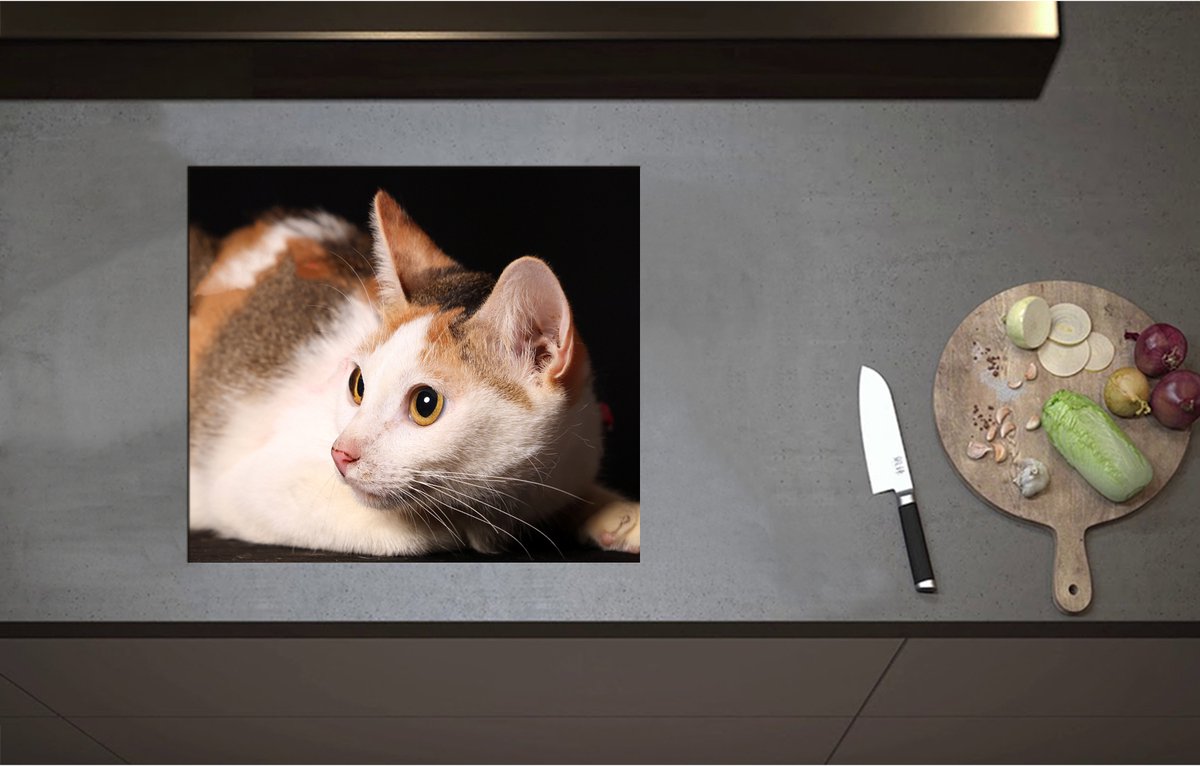 Inductieplaat Beschermer - Calicokat ligt voor zwarte achtergrond en kijkt naar zijkant - 57x50 cm - 2 mm Dik - Inductie Beschermer - Bescherming Inductiekookplaat - Kookplaat Beschermer van Wit Vinyl