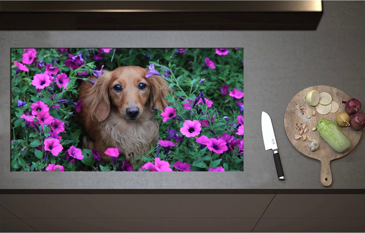 Inductieplaat Beschermer - Bruine Teckel tussen de Paarse Bloemen - 95x51 cm - 2 mm Dik - Inductie Beschermer - Bescherming Inductiekookplaat - Kookplaat Beschermer van Zwart Vinyl