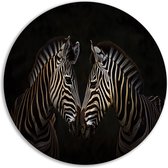 Tableau mural Zèbres - Décoration murale animaux rond - Cercles muraux Noir blanc - Tableaux campagne - Cercle mural - Décoration chambre cercle mural forex 50x50 cm