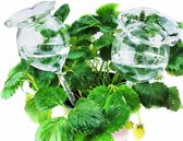 Plant Watering Globes Automatische Plant Waterer Handgeblazen Helder Glas Plant Water Bollen Apparaten voor binnen & buiten 2 Bloemvorm