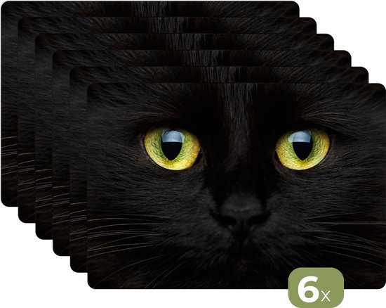 Placemats - 6 stuks - 45x30 cm - Placemat kunststof - Kat - Zwart - Dieren - Natuur - Borden onderleggers - Decoratie voor op tafel - Keuken tafeldecoratie accessoires - Vinyl onderlegger - Tafelversiering