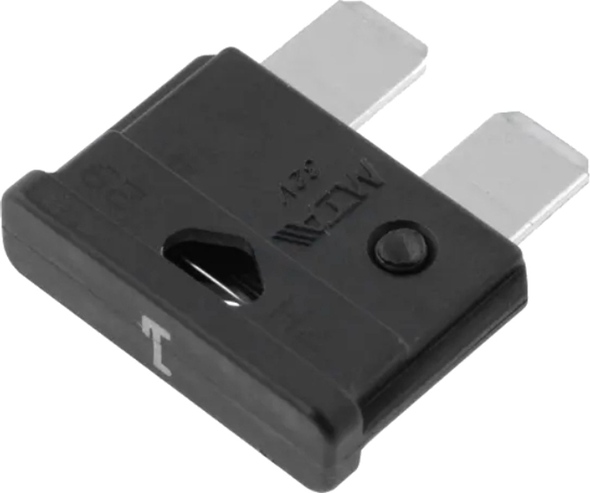 Autozekering - 1 Ampere - Zwart - 10 stuks