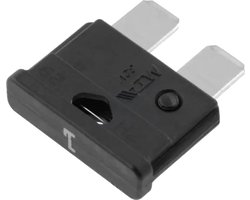 Autozekering - 1 Ampere - Zwart - 10 stuks