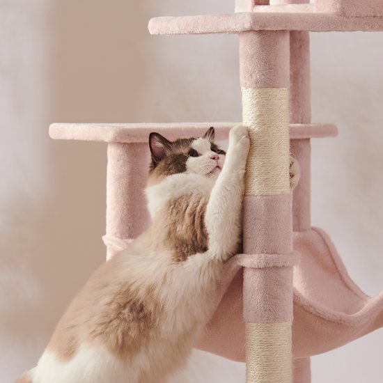 Ragdollkat krabt aan de sisalpaal van een roze kattenkrabpaal.
