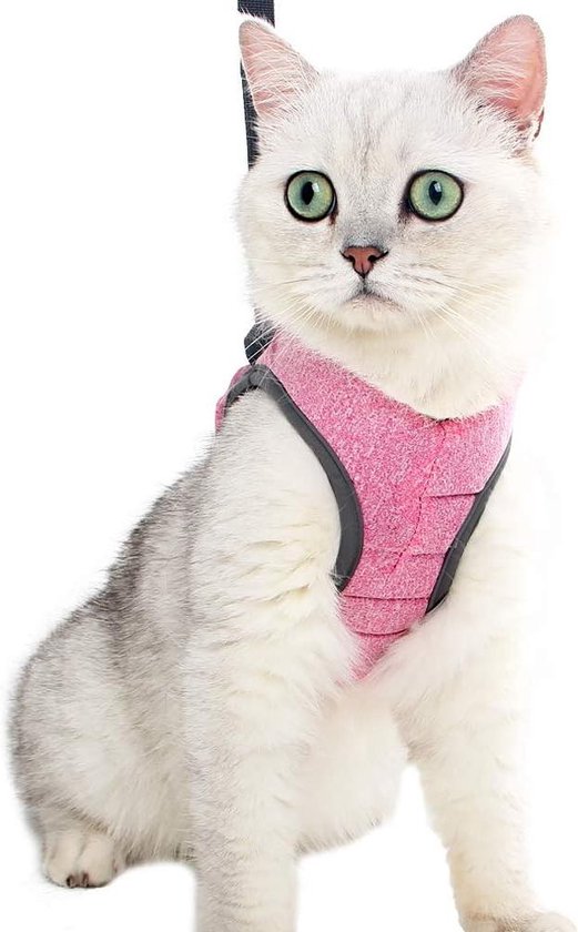 PetSafe Kurgo Quantum 6’sı Birarada Tasma Kayışı Mavi Reflektörlü K01350 PetSafe Kurgo Quantum 6’sı Birarada Tasma Kayışı Mavi Reflektörlü K01350