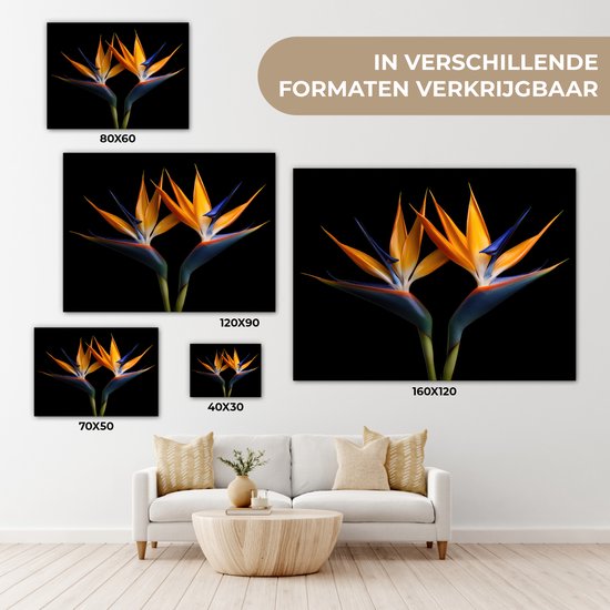 Peinture sur toile 160x120 cm - Décoration murale Plantes - Fleurs - Fleur oiseau de paradis - Portrait - Zwart - Décoration murale salon - Décoration chambre - Accessoires de chambre - Peintures