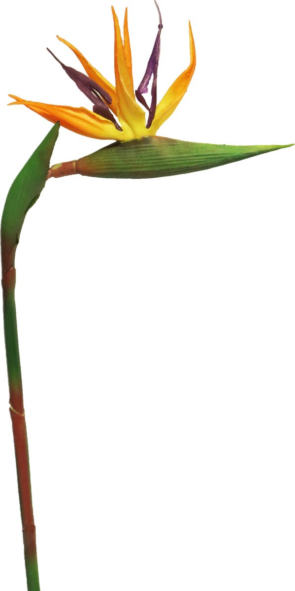 Bellatio Design Kunstbloem Strelitzia - 58 cm - losse steel - kunst zijdebloem - Paradijsvogelplant Oranje