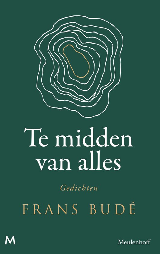 Te midden van alles - cover