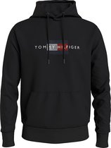 Tommy Hilfiger trui 20952 - BDS