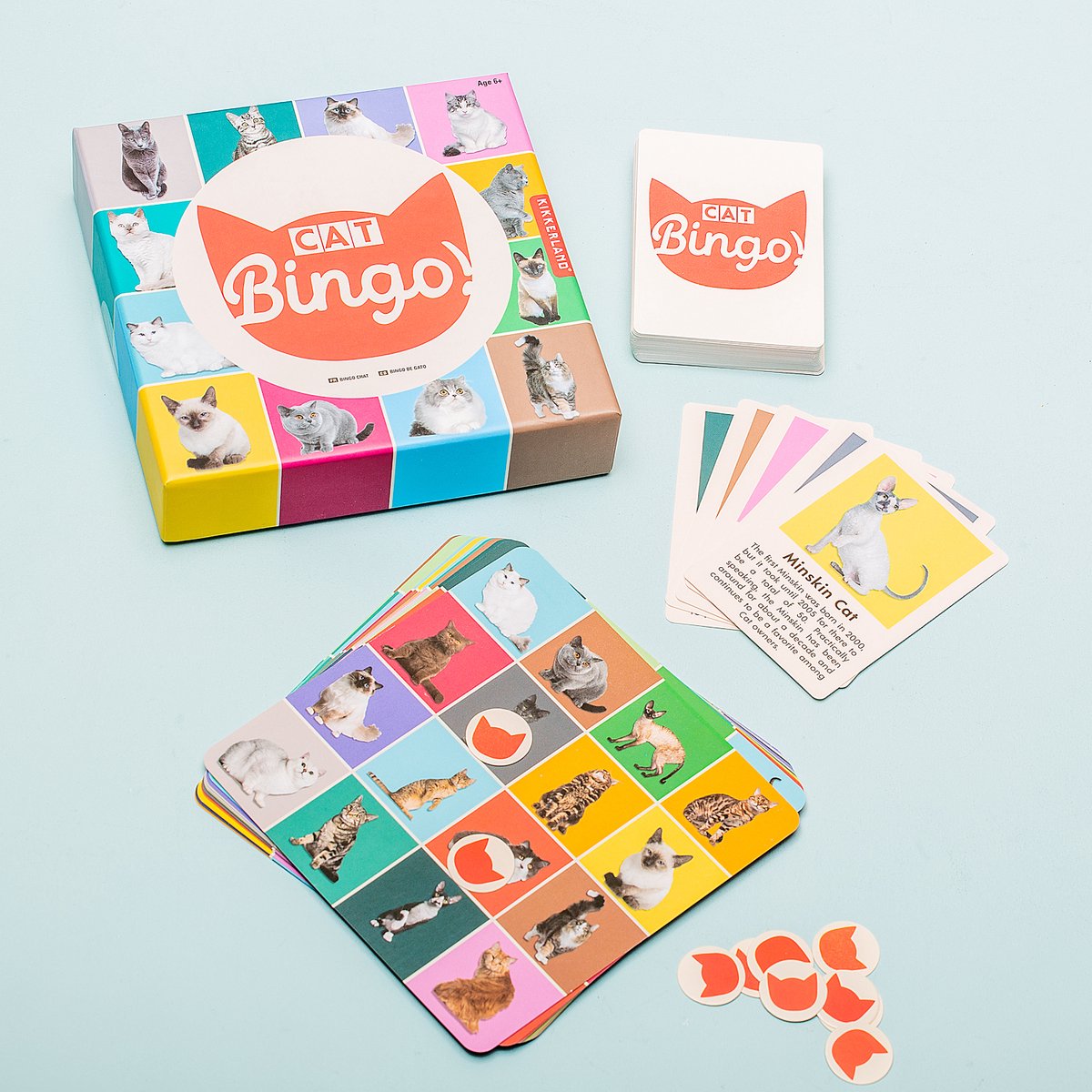 Kikkerland Cat Bingo - 54 katten soorten - 12 bingokarten - Reisspel - Pocket spel - Voor maximaal 12 spelers