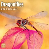 Dragonflies Kalender 2022