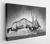 Onlinecanvas - Schilderij - Gemsbok Dubbel (artistieke Verwerking) Art Horizontaal Horizontal - Multicolor - 80 X 60 Cm