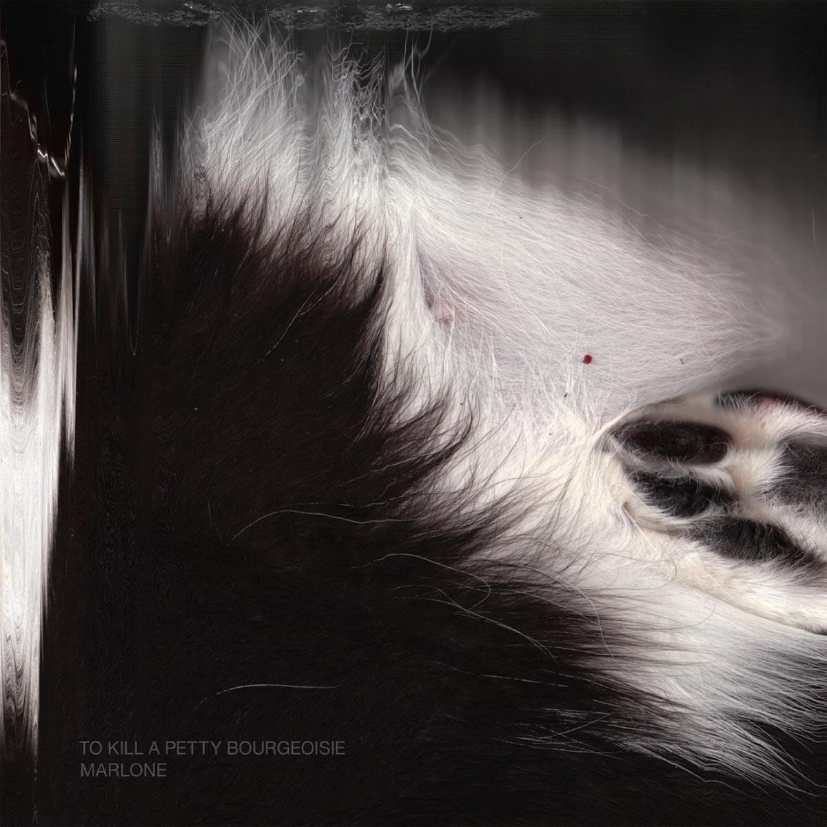 To Kill A Pretty Bourgeoisie - Marlone (CD)
