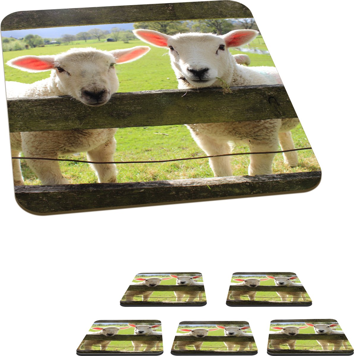 Onderzetters voor glazen - Schapen- Hout - Lam - 10x10 cm - Glasonderzetters - 6 stuks