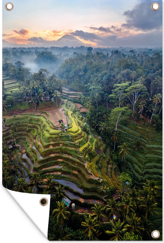 Muurdecoratie Rijstterrassen tussen de bomen in Indonesië - 120x180 cm - Tuinposter - Tuindoek - Buitenposter