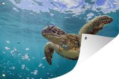 Tuindecoratie Een zeeschildpad omringd door bubbels - 60x40 cm - Tuinposter - Tuindoek - Buitenposter