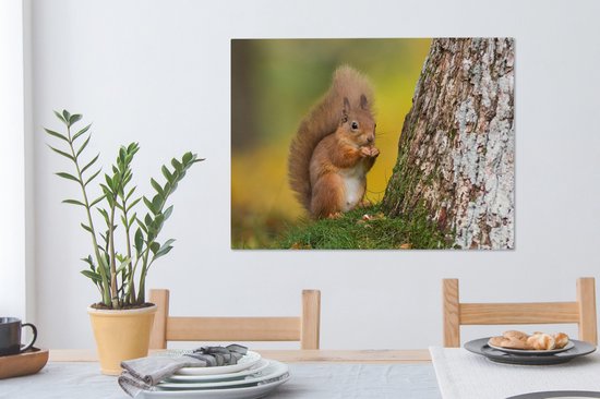 Tableau sur toile Écureuil roux à côté de l'arbre - 80x60 cm - Décoration murale