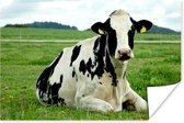 Rustende Friese koe op een groen weiland Poster 30x20 cm - klein - Foto print op Poster (wanddecoratie woonkamer / slaapkamer) / Boerderijdieren Poster