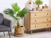 Beliani FAN PALM - Kunstplant - groen - synthetisch materiaal