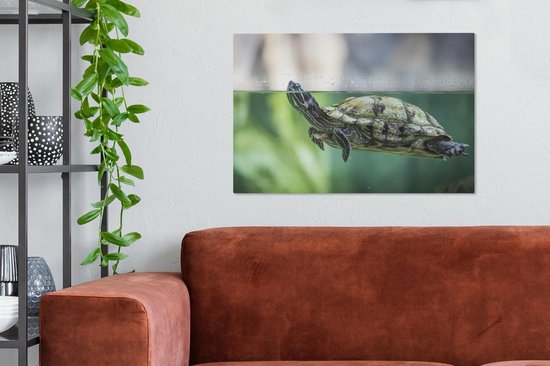 Photo en gros plan de toile de tortue 60x40 cm - Tirage photo sur toile peinture (Décoration murale salon / chambre) / Peintures sur toile Animaux