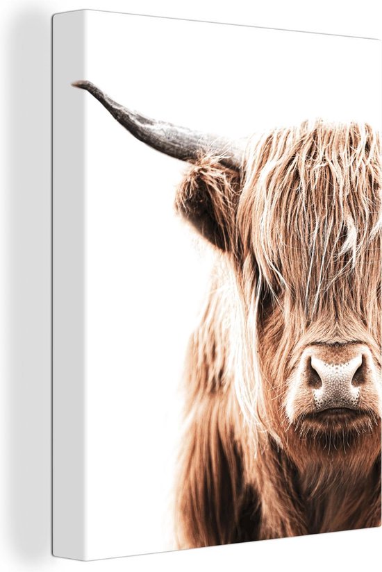 Canvas Schilderij Schotse hooglander - Koe - Wit - 90x120 cm - Wanddecoratie