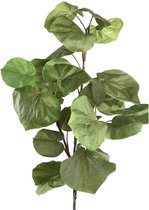 PTMD Leaves Plant Zee Grape Blad Kunsttak - 76 x 49 x 120 cm - Groen