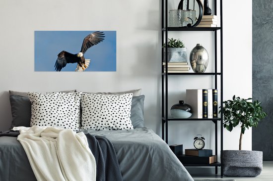 Poster 80x40 cm - Een Amerikaanse zeearend in een blauwe hemel - Posters - Kamer decoratie - Wanddecoratie woonkamer - Muurdecoratie slaapkamer