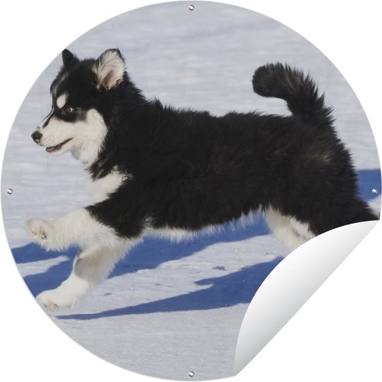 Tuincirkel Husky puppy rent over de sneeuw - 120x120 cm - Ronde Tuinposter - Buiten XXL / Groot formaat!