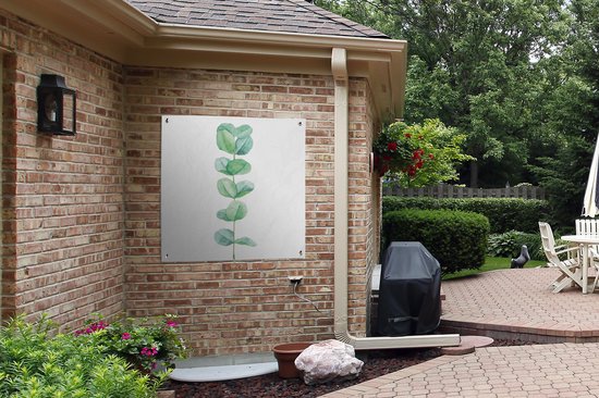 Aquarelle illustration eucaluptus plant jardin affiche toile en vrac 100x100 cm - toile de jardin / toile d'extérieur / Peintures pour l'extérieur (décoration de jardin)