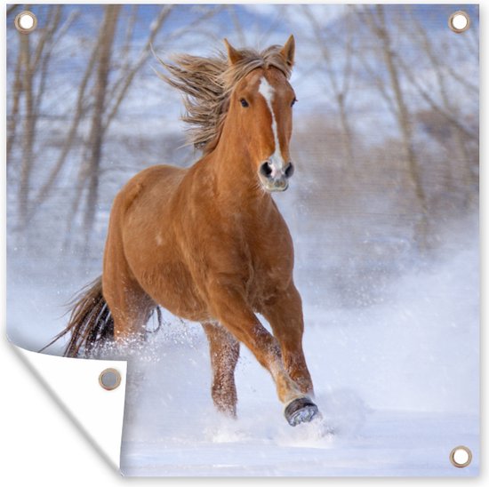 Tuin poster Paard - Sneeuw - Bruin - 200x200 cm - Tuindoek - Buitenposter
